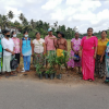"Samrudhi Green Color Aswedduma Matrubhumi" National Plantation Day Environment Program / Homagama (Kirigampamunwa) (2022-09-28)